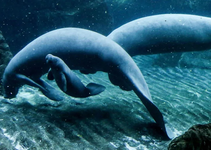 بيت ضيافة Casa Mama جنوة