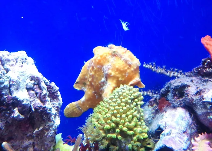 Casa Mama بيت ضيافة