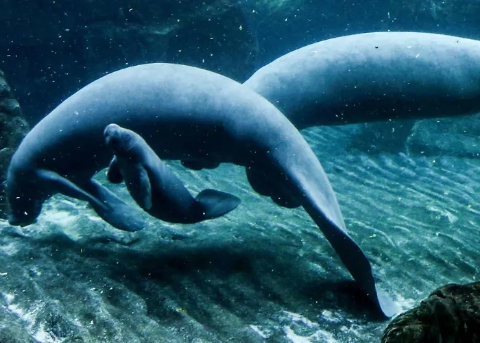 Casa Mama بيت ضيافة