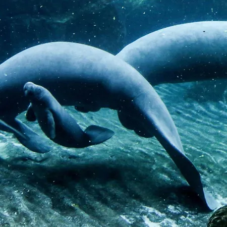 ゲストハウス Casa Mama ジェノヴァ