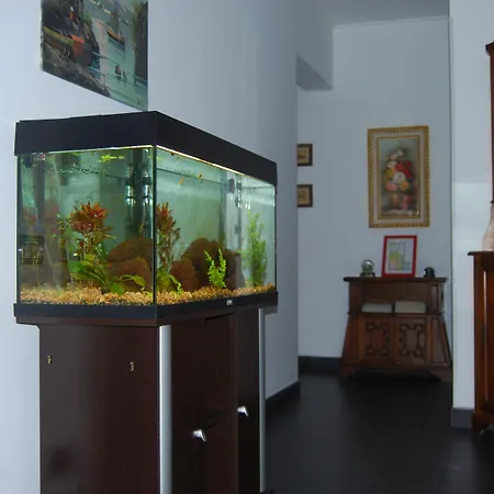 ゲストハウス Casa Mama *