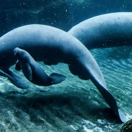 Casa Mama ゲストハウス